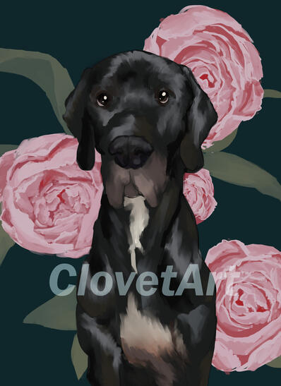A digital painting of a black great dane against a dark green background and pastel pink peonies.